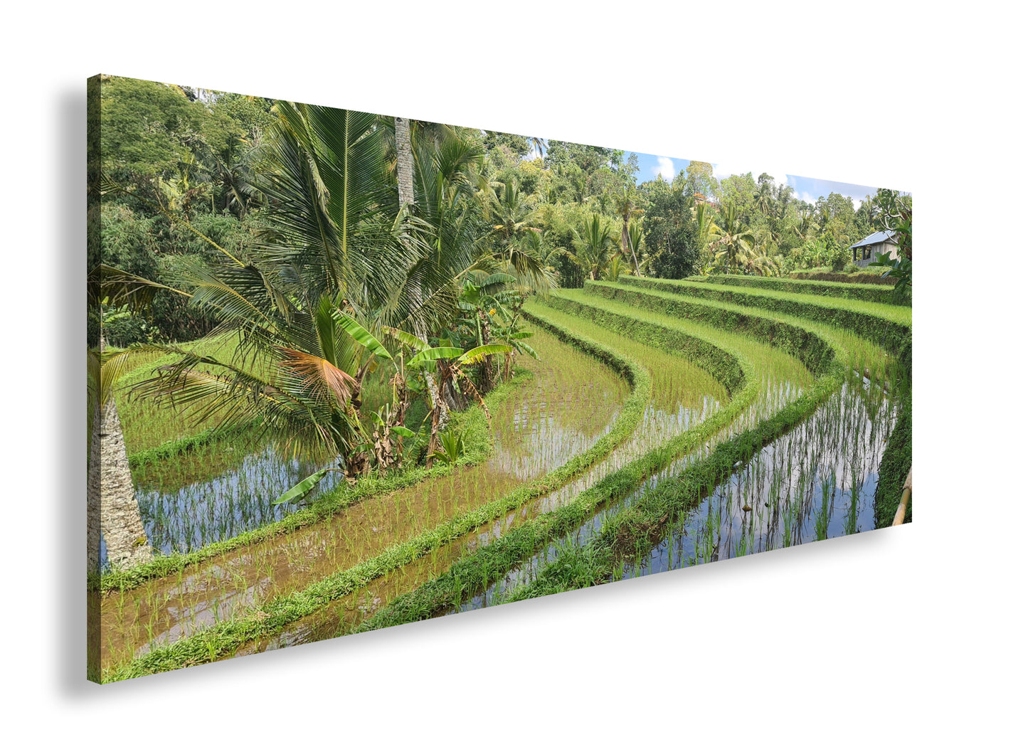 Hauptbild Farbig Panorama