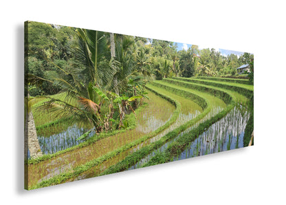 Hauptbild Farbig Panorama