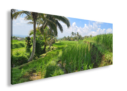 Hauptbild Farbig Panorama