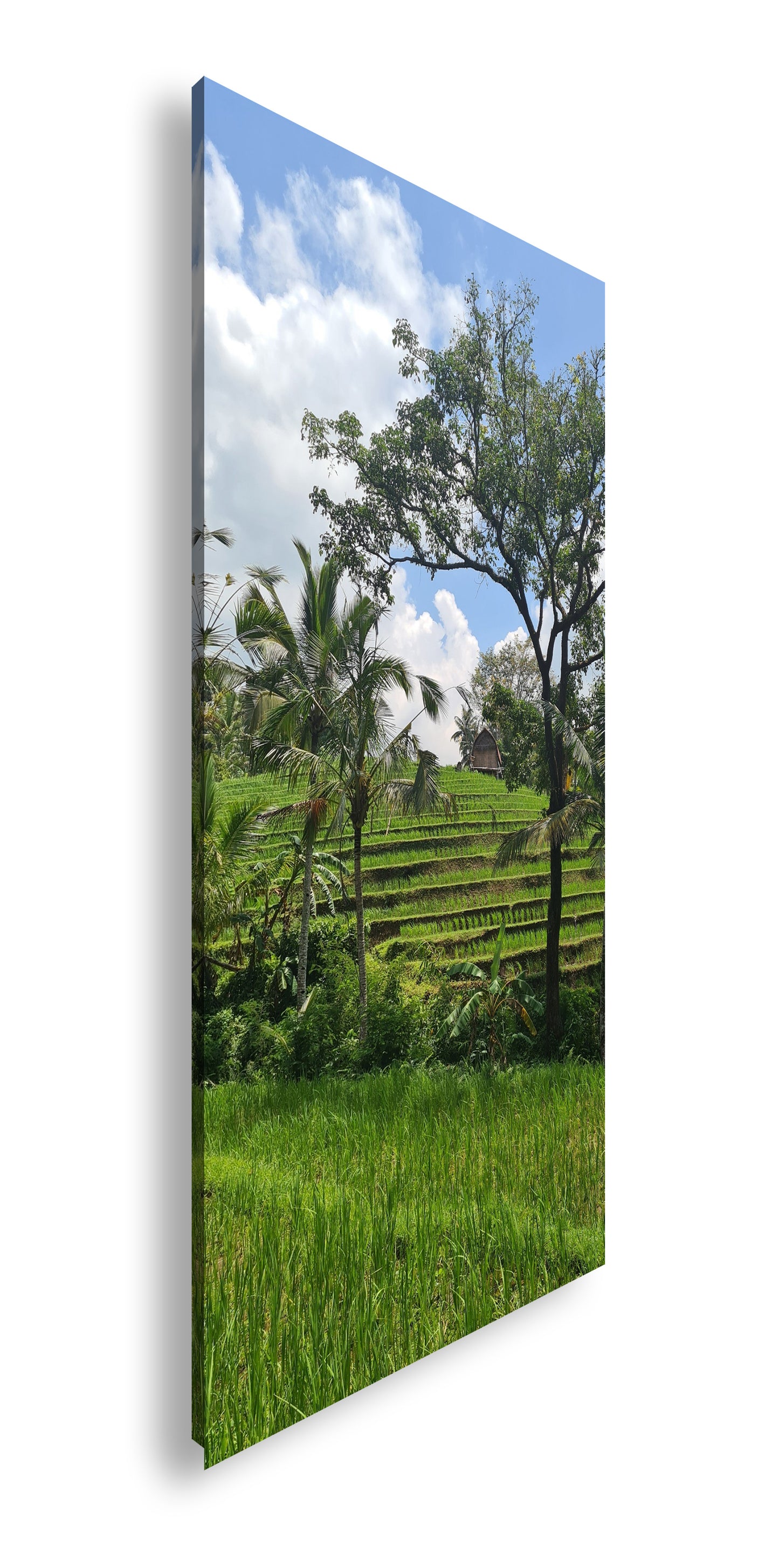 Hauptbild Farbig Panorama