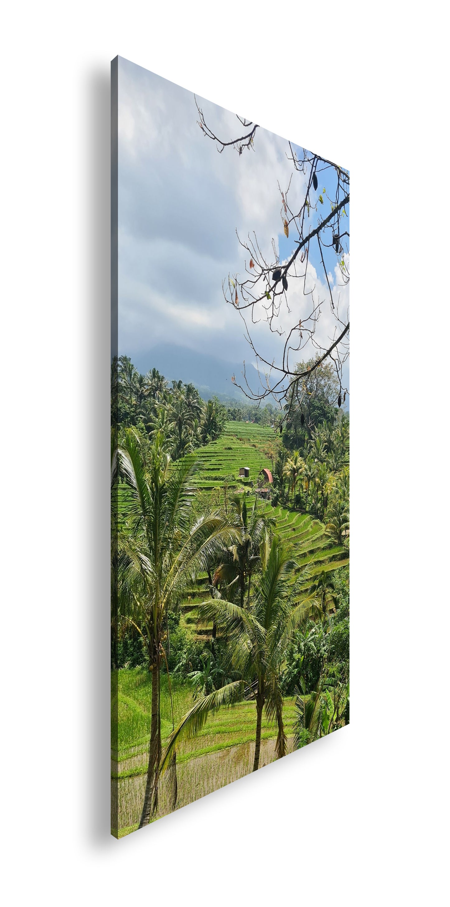 Hauptbild Farbig Panorama