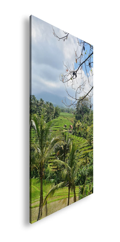 Hauptbild Farbig Panorama