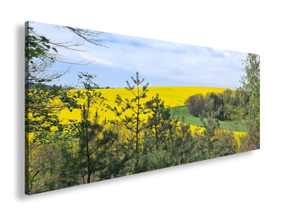 Hauptbild Farbig Panorama