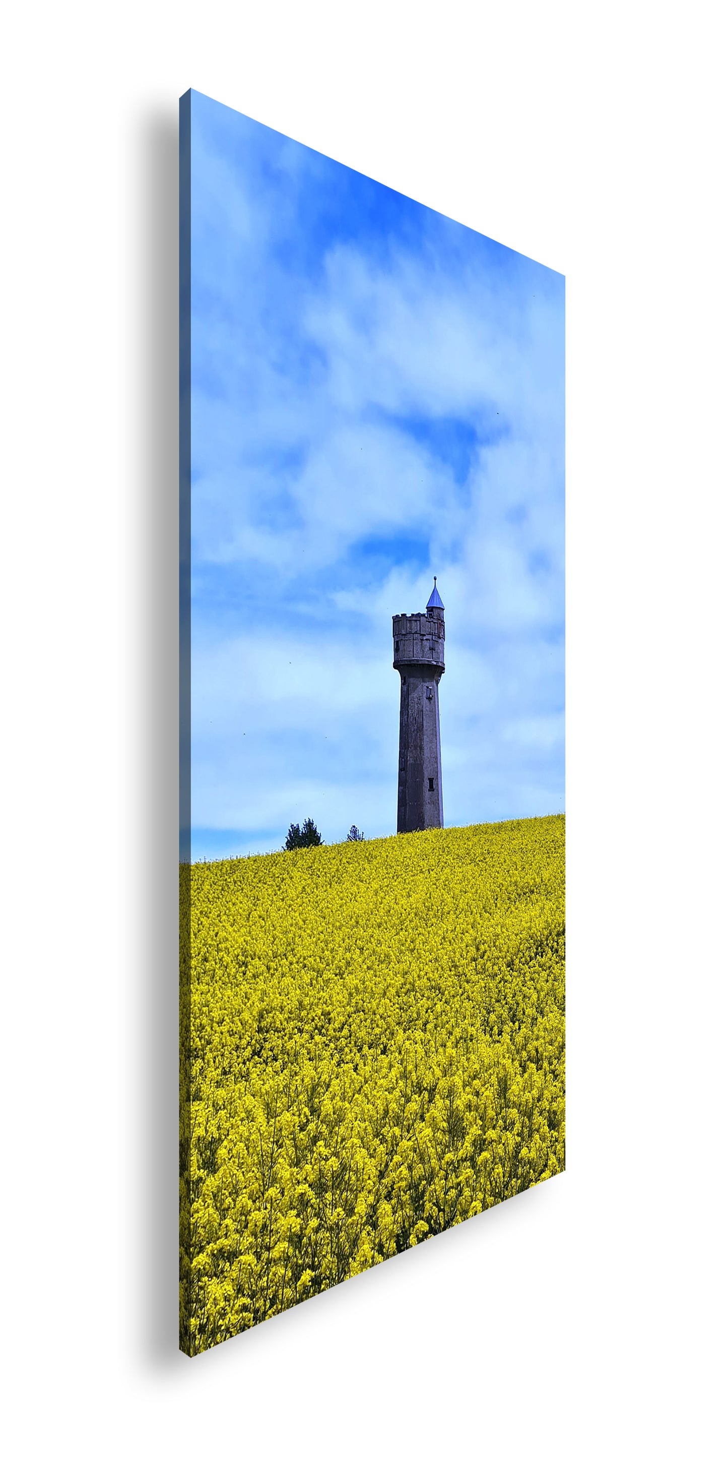 Hauptbild Farbig Panorama