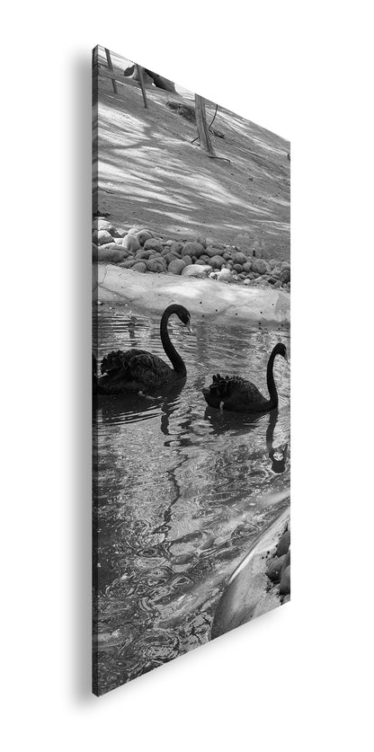 Hauptbild Schwarz & Weiß Panorama