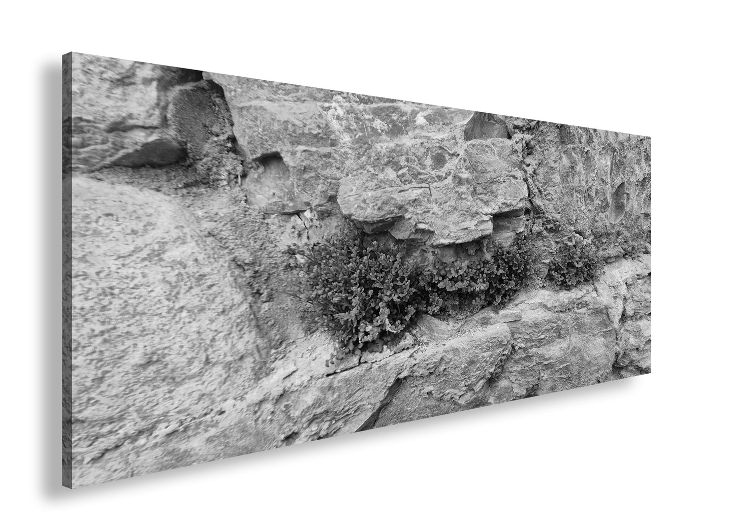 Hauptbild Schwarz & Weiß Panorama