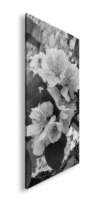 Hauptbild Schwarz & Weiß Panorama