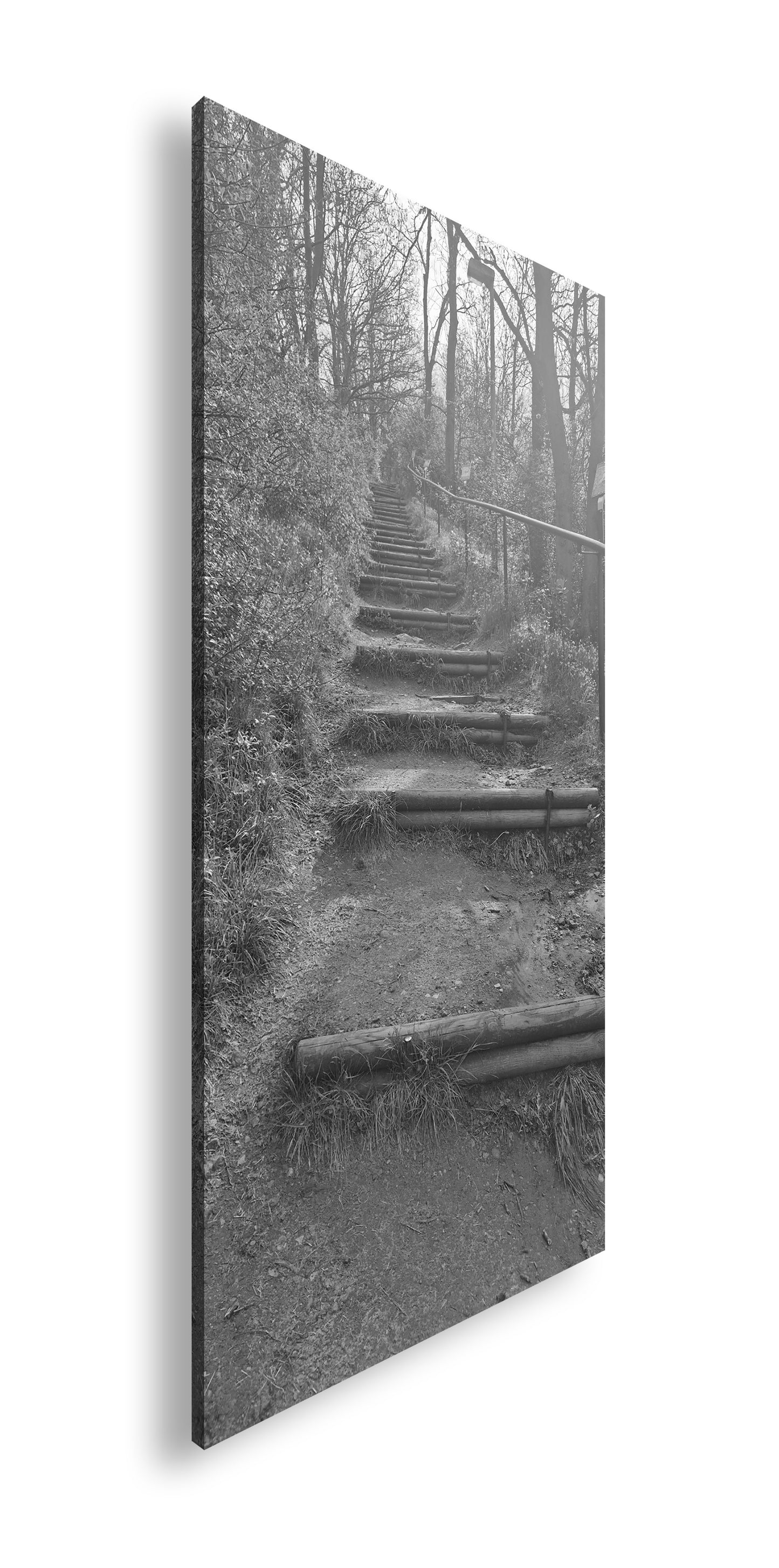 Hauptbild Schwarz & Weiß Panorama