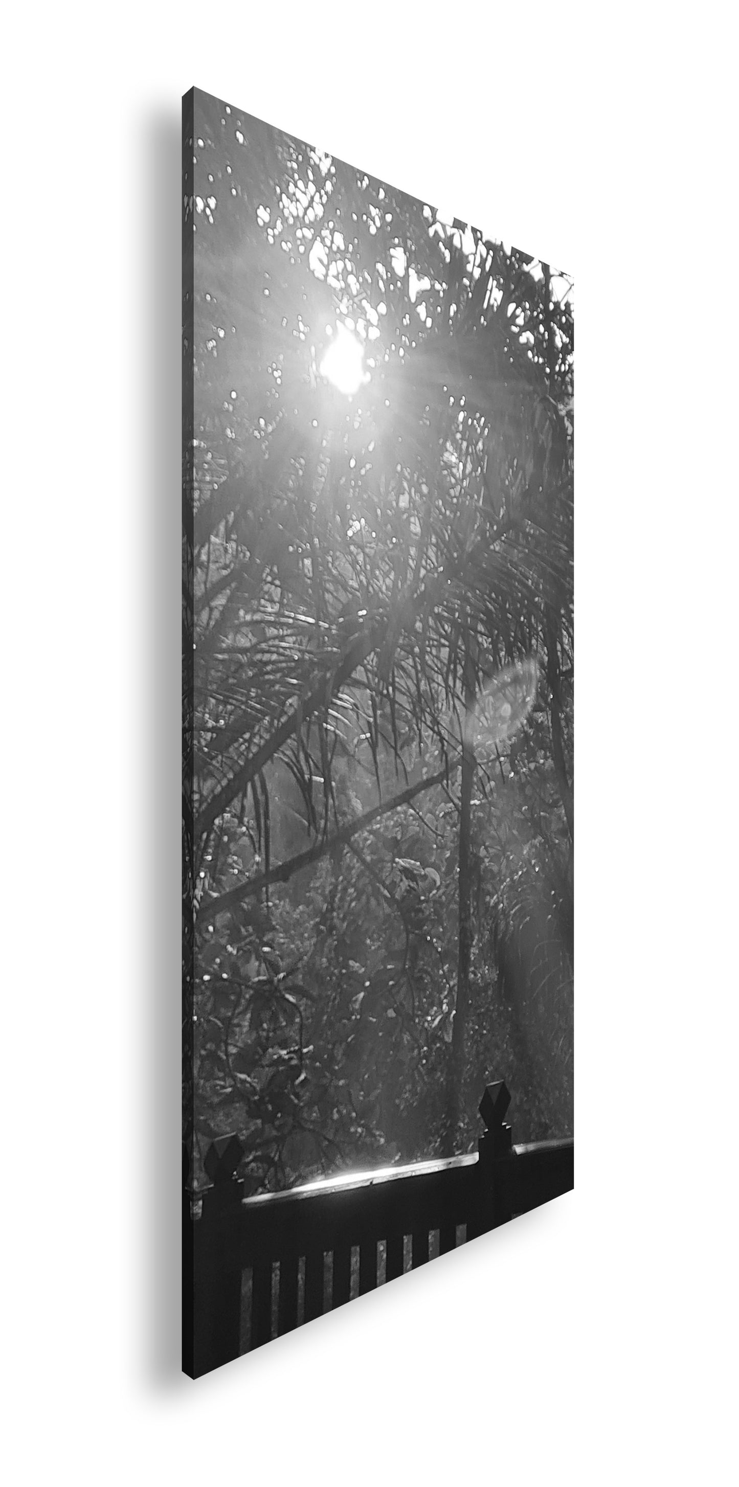 Hauptbild Schwarz & Weiß Panorama