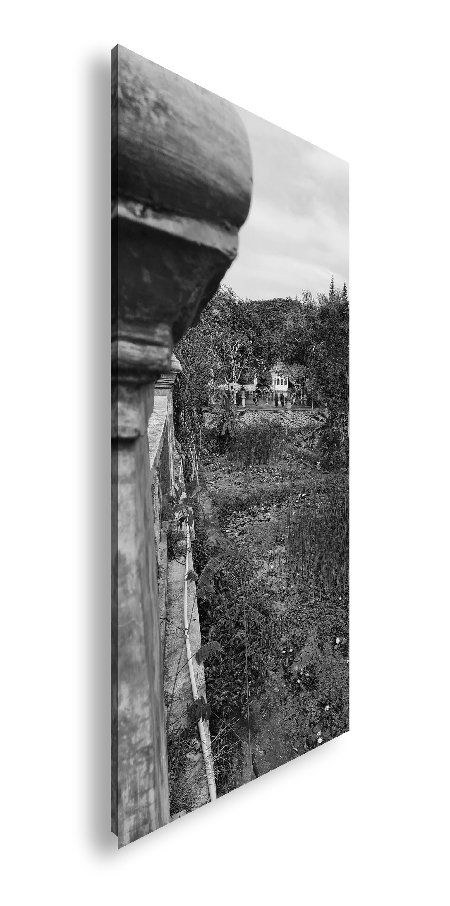 Hauptbild Schwarz & Weiß Panorama