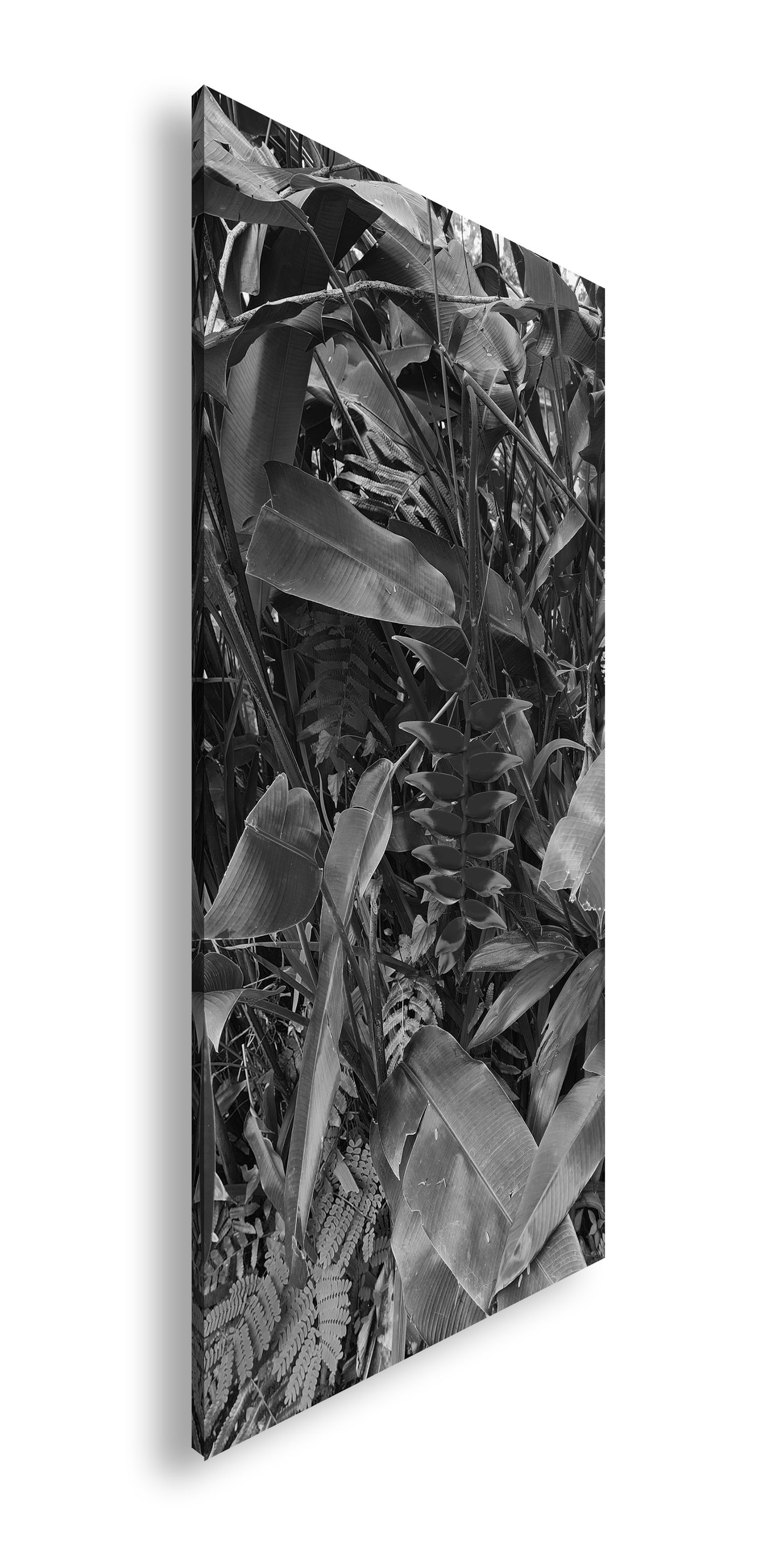 Hauptbild Schwarz & Weiß Panorama