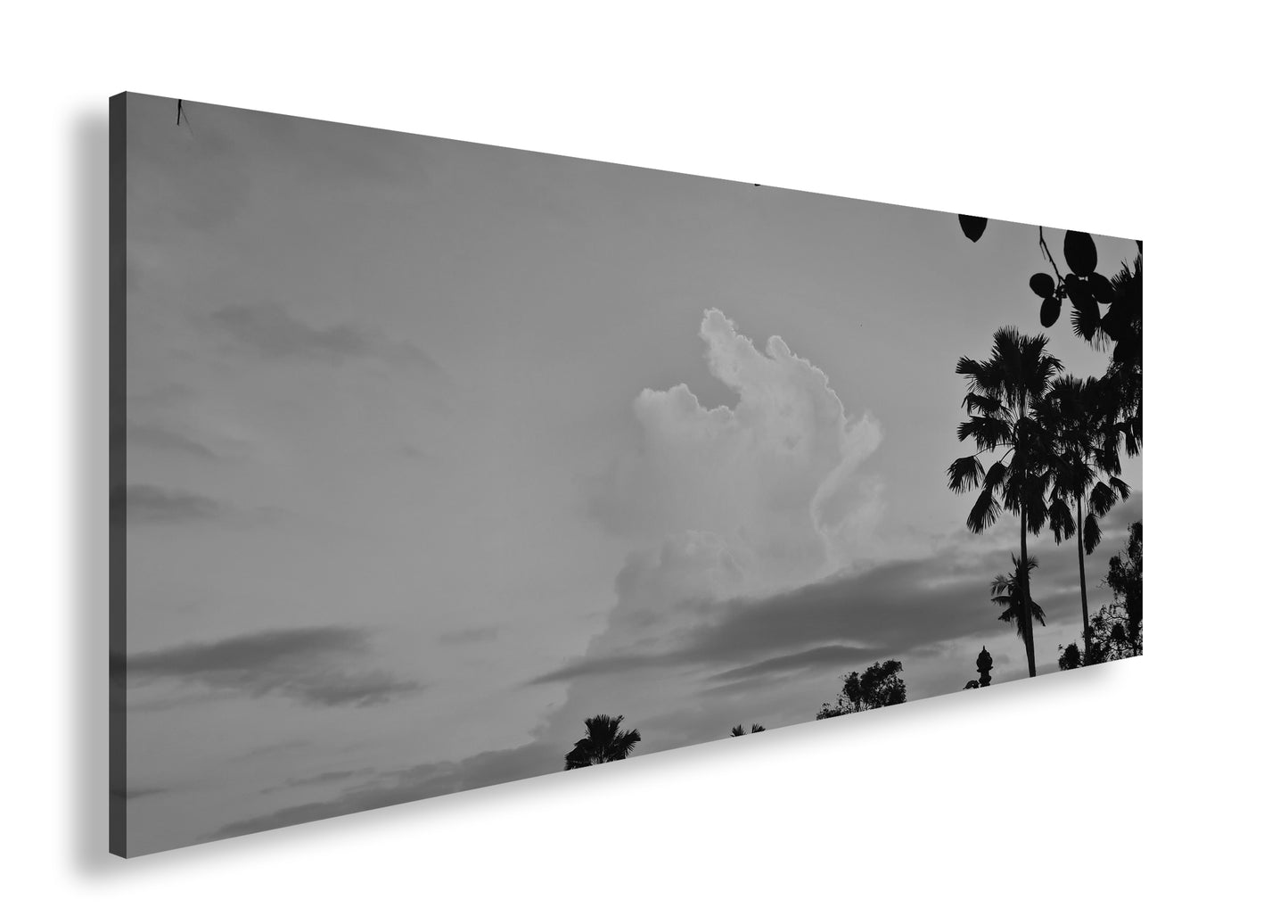 Hauptbild Schwarz & Weiß Panorama