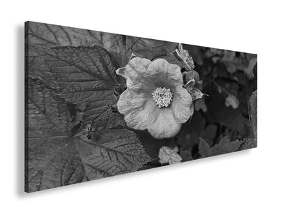 Hauptbild Schwarz & Weiß Panorama