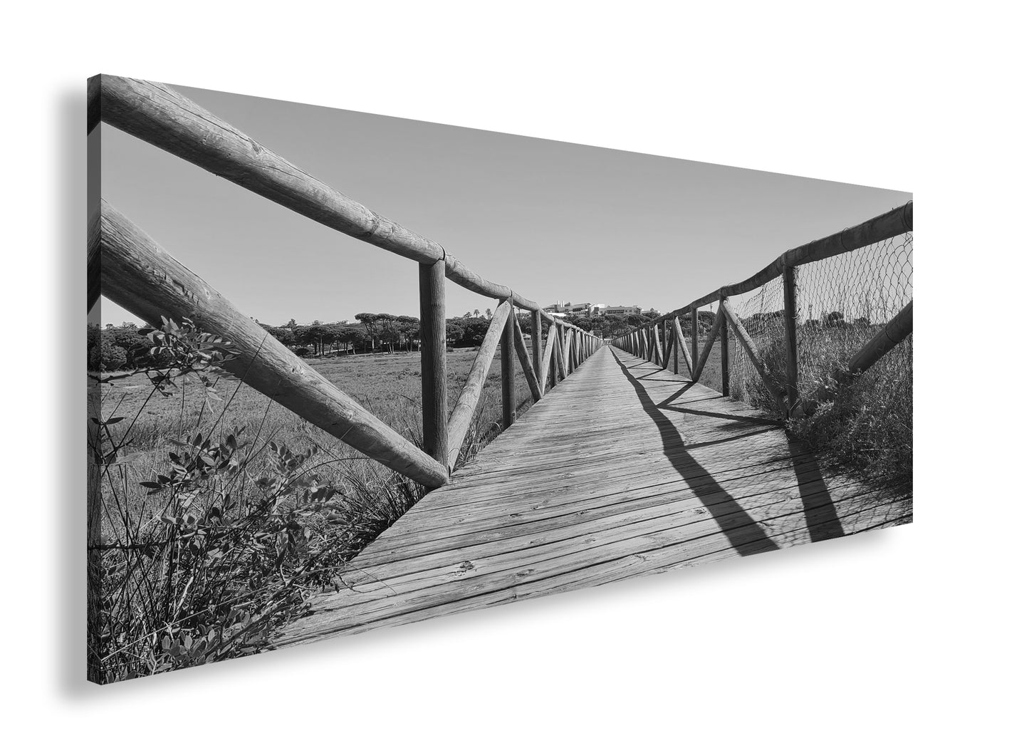 Hauptbild Schwarz & Weiß Panorama