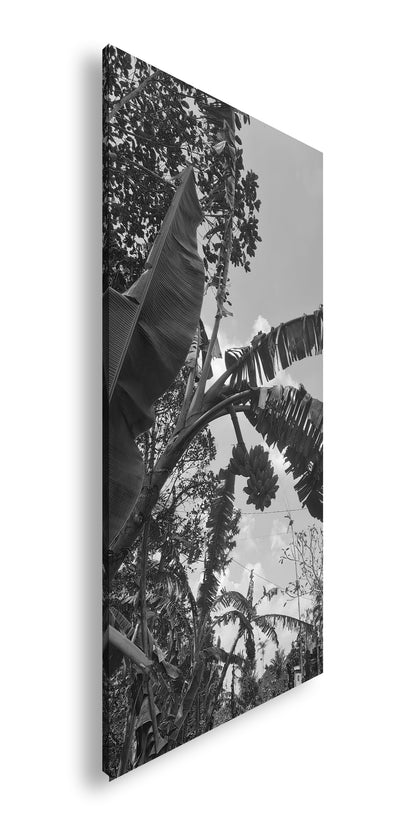 Hauptbild Schwarz & Weiß Panorama