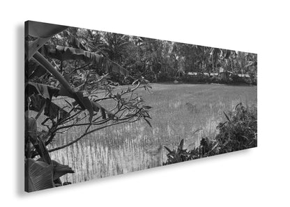 Hauptbild Schwarz & Weiß Panorama