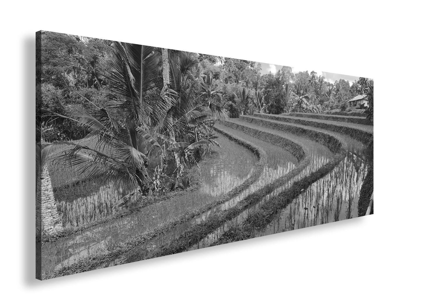 Hauptbild Schwarz & Weiß Panorama