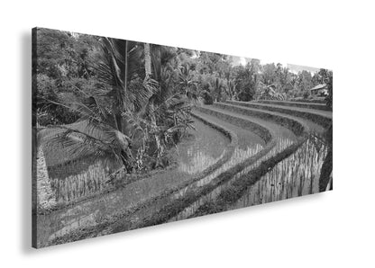 Hauptbild Schwarz & Weiß Panorama