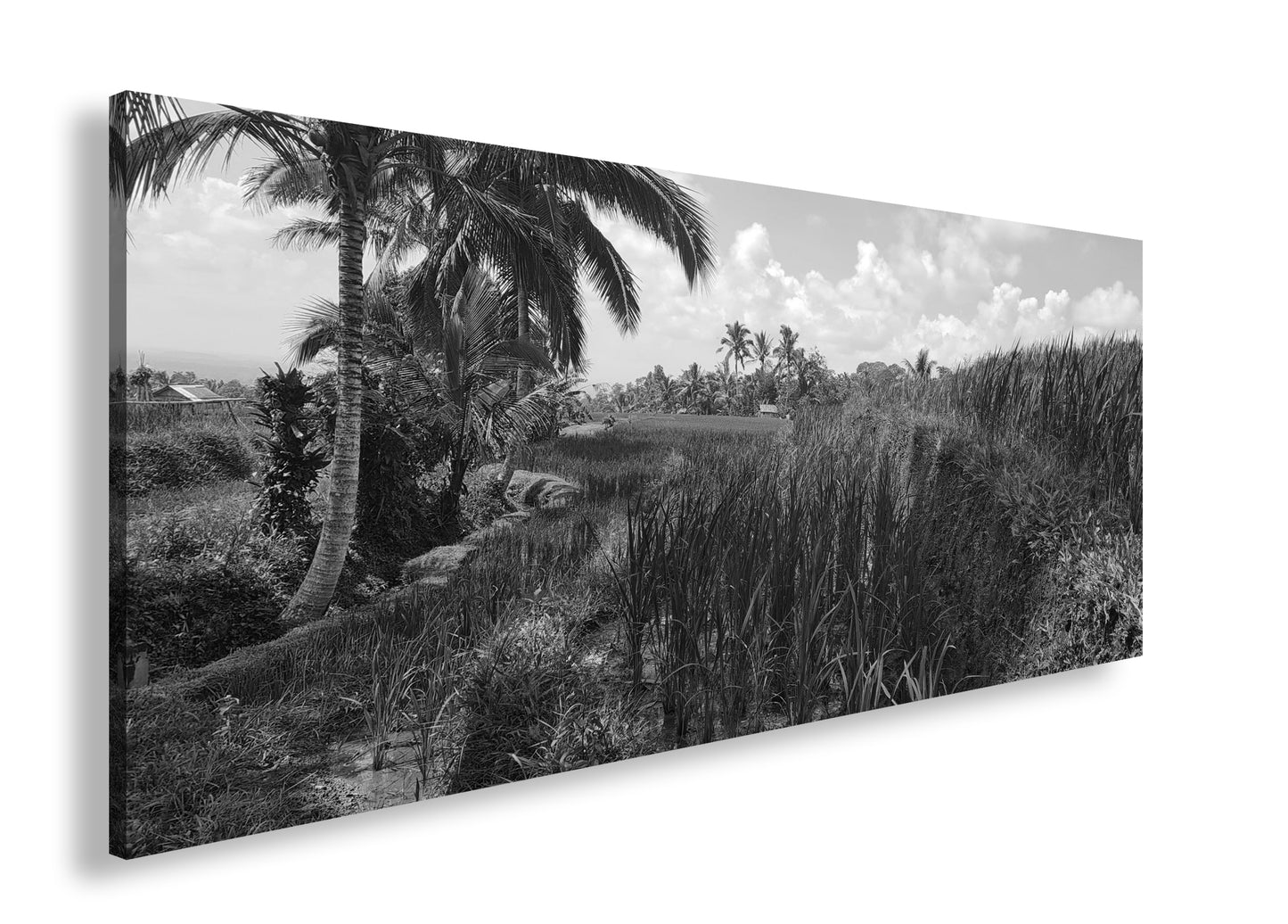 Hauptbild Schwarz & Weiß Panorama