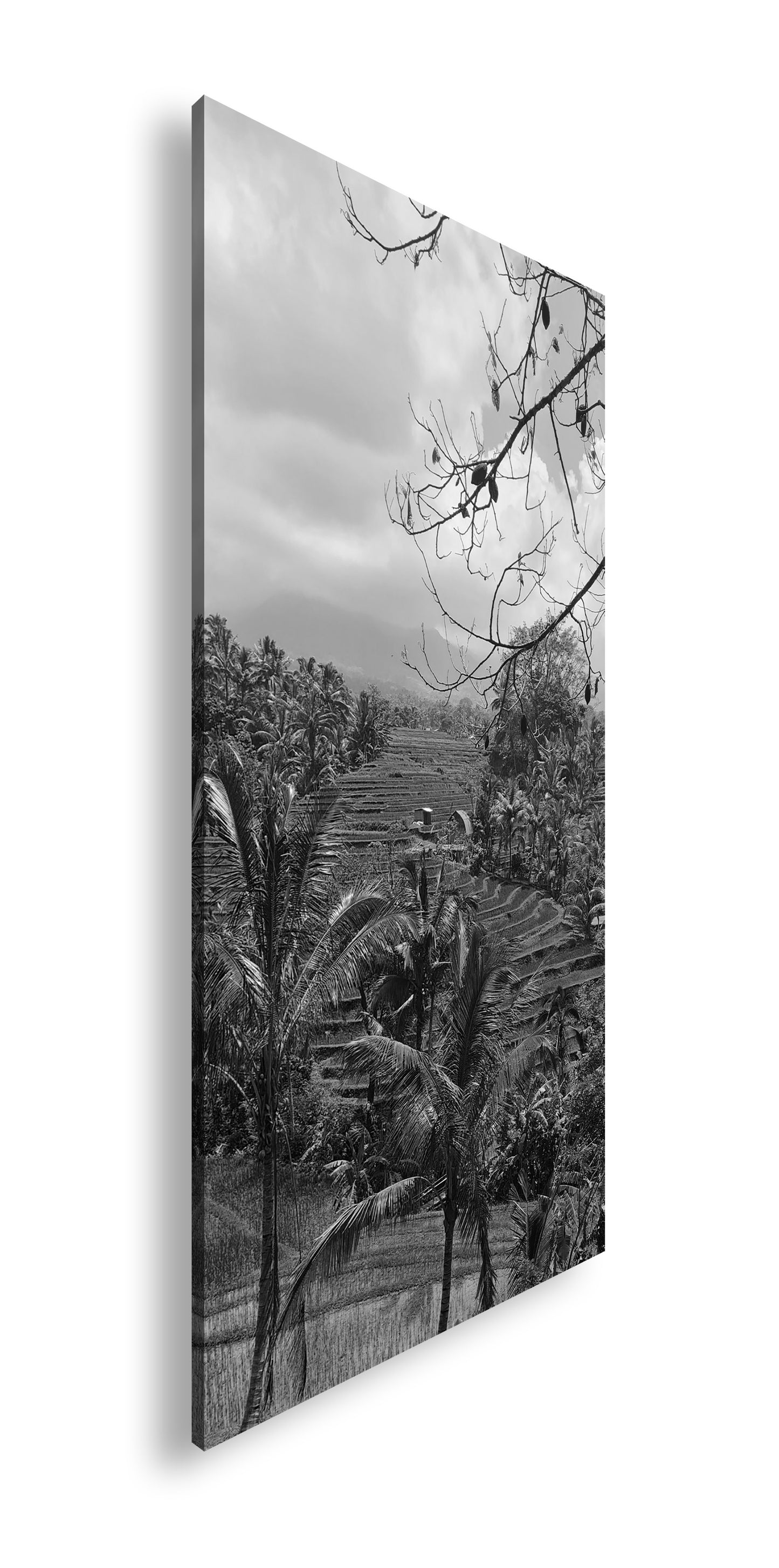 Hauptbild Schwarz & Weiß Panorama