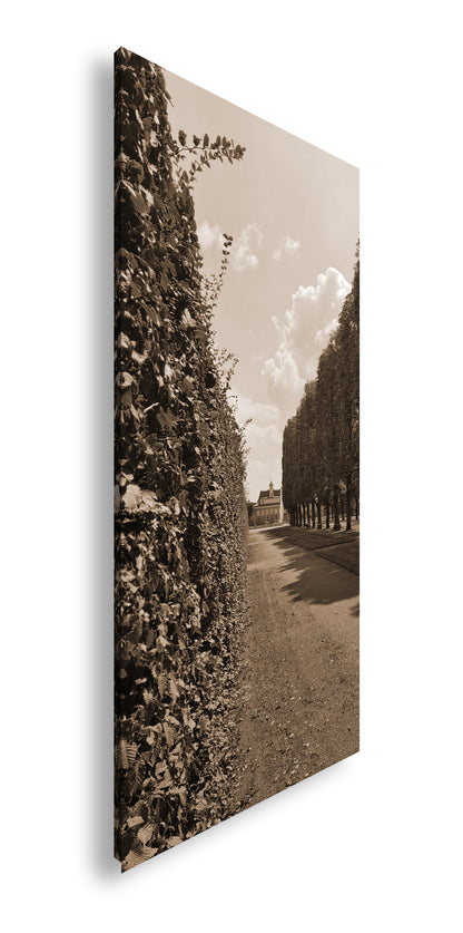 Hauptbild Sepia Panorama