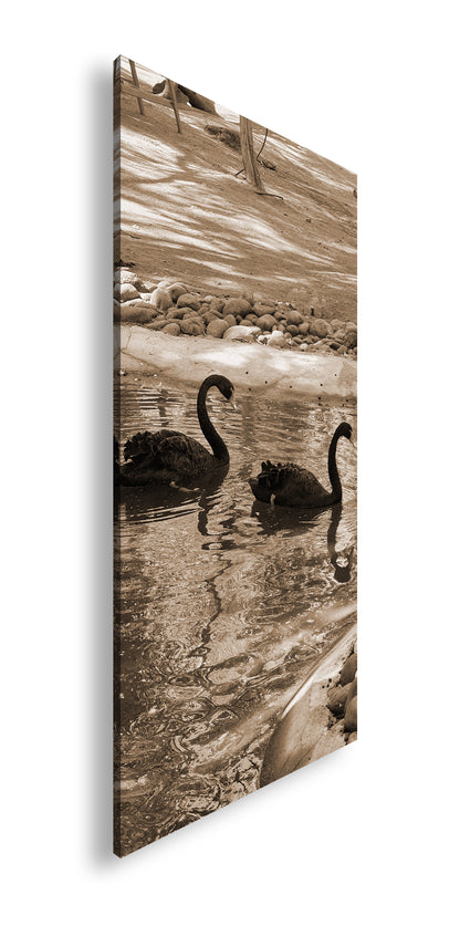 Hauptbild Sepia Panorama