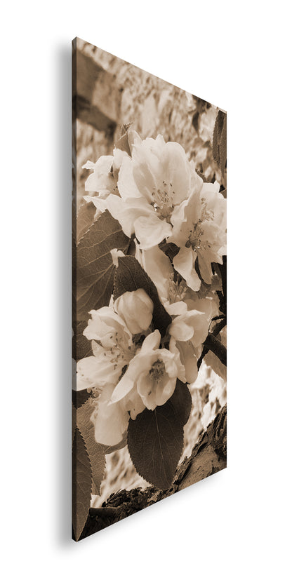 Hauptbild Sepia Panorama