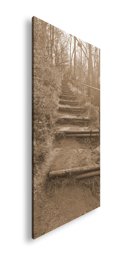 Hauptbild Sepia Panorama