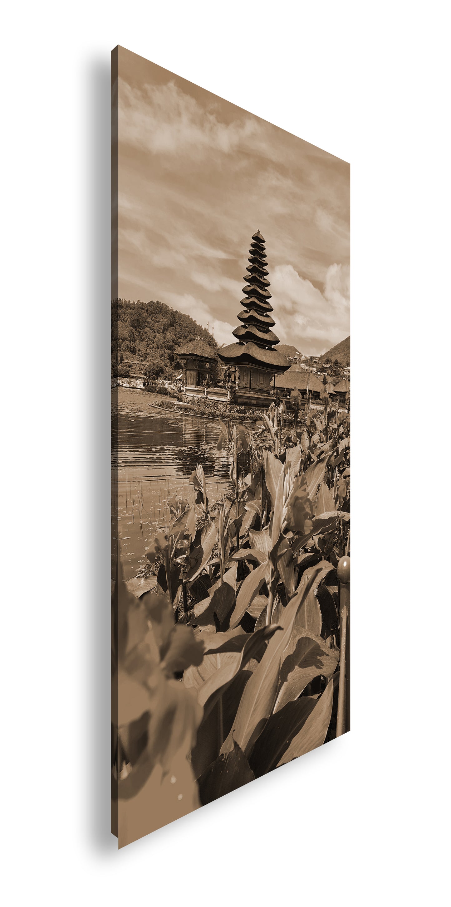 Hauptbild Sepia Panorama