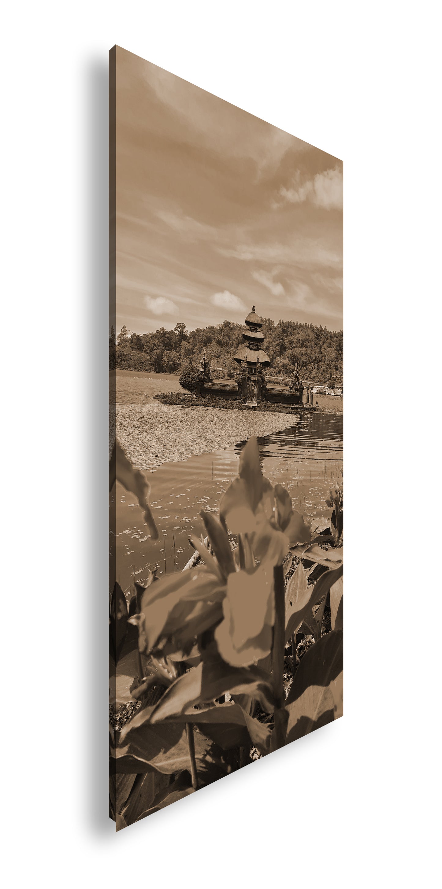 Hauptbild Sepia Panorama