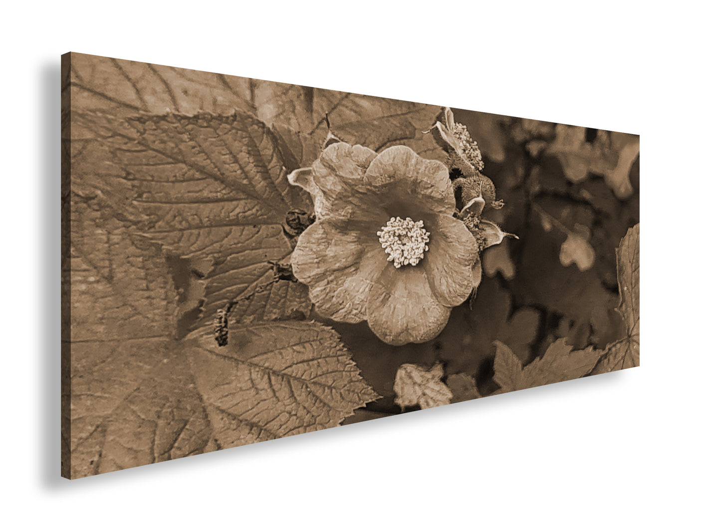 Hauptbild Sepia Panorama