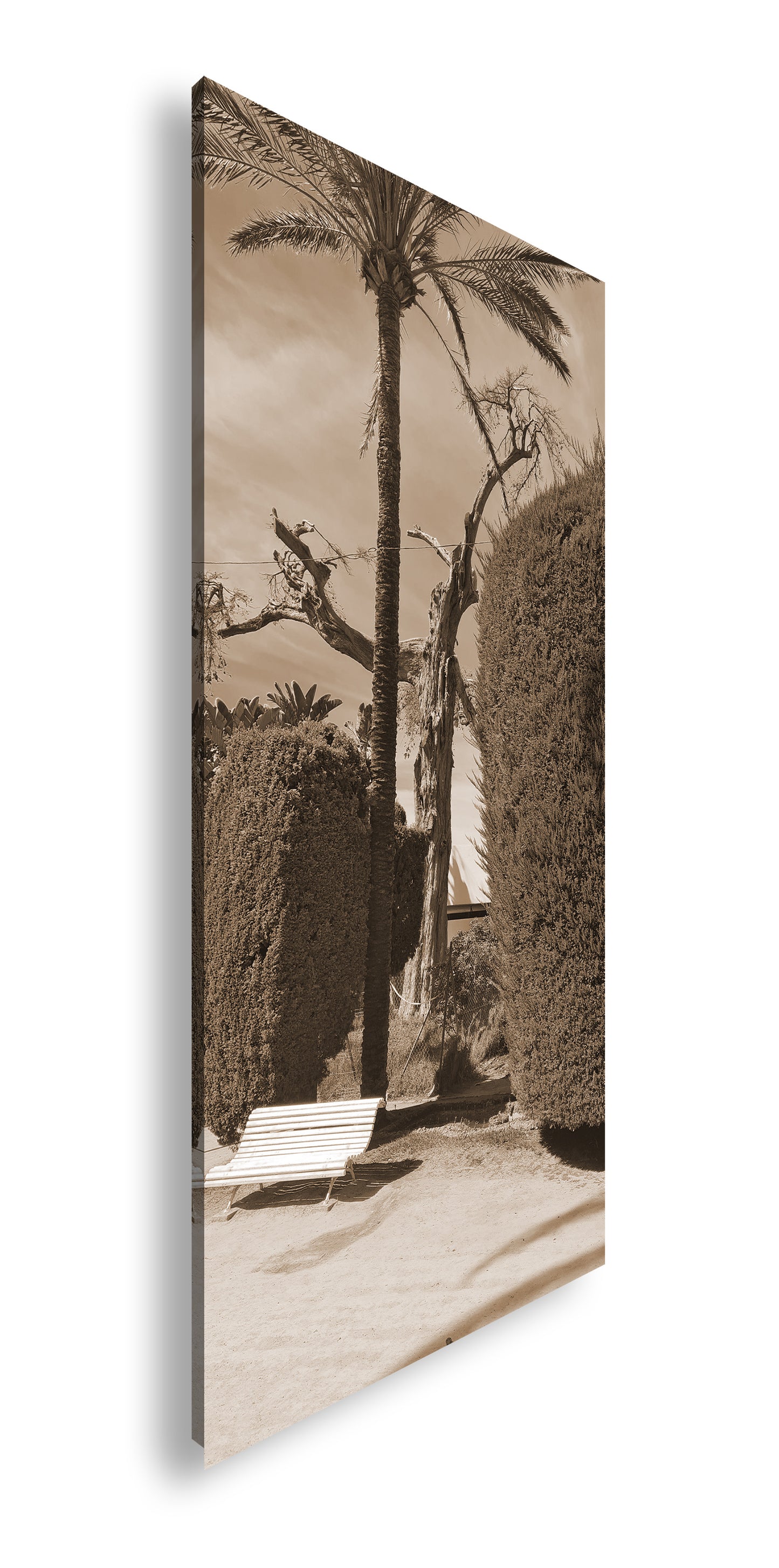 Hauptbild Sepia Panorama