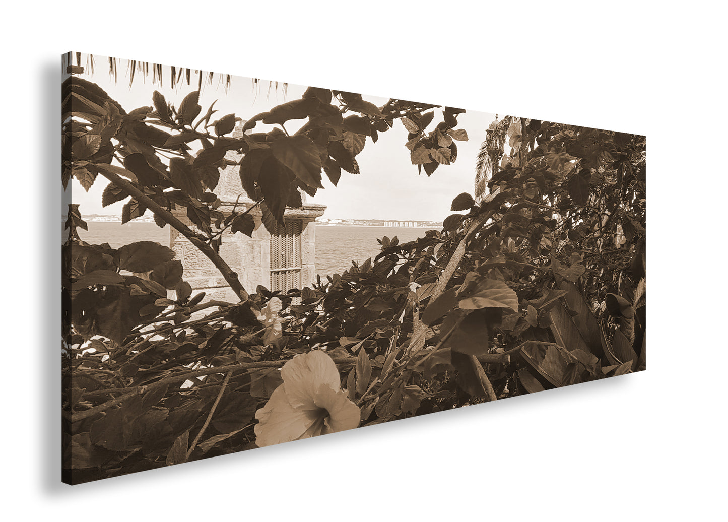 Hauptbild Sepia Panorama