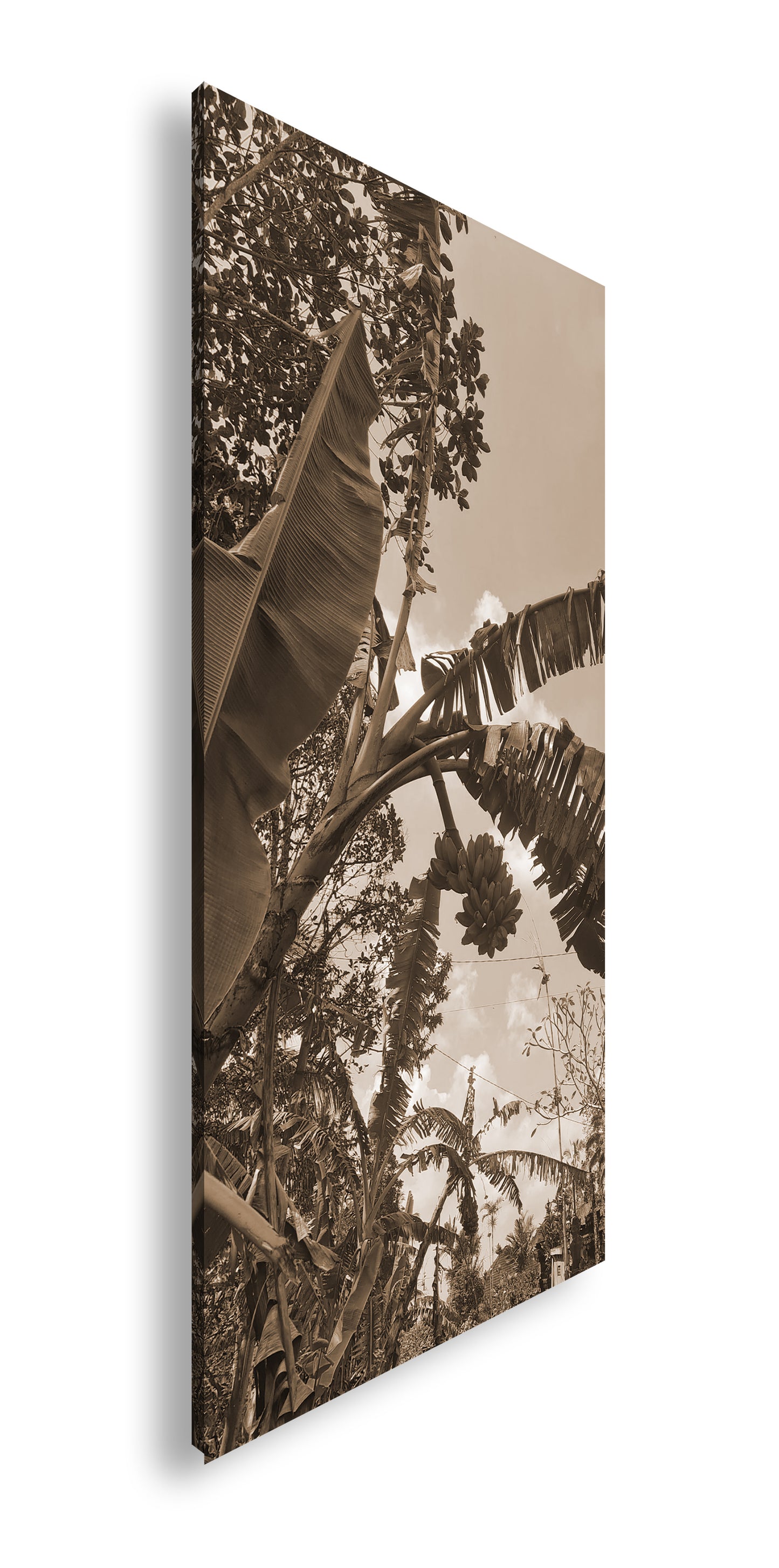 Hauptbild Sepia Panorama