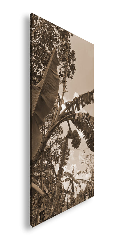 Hauptbild Sepia Panorama