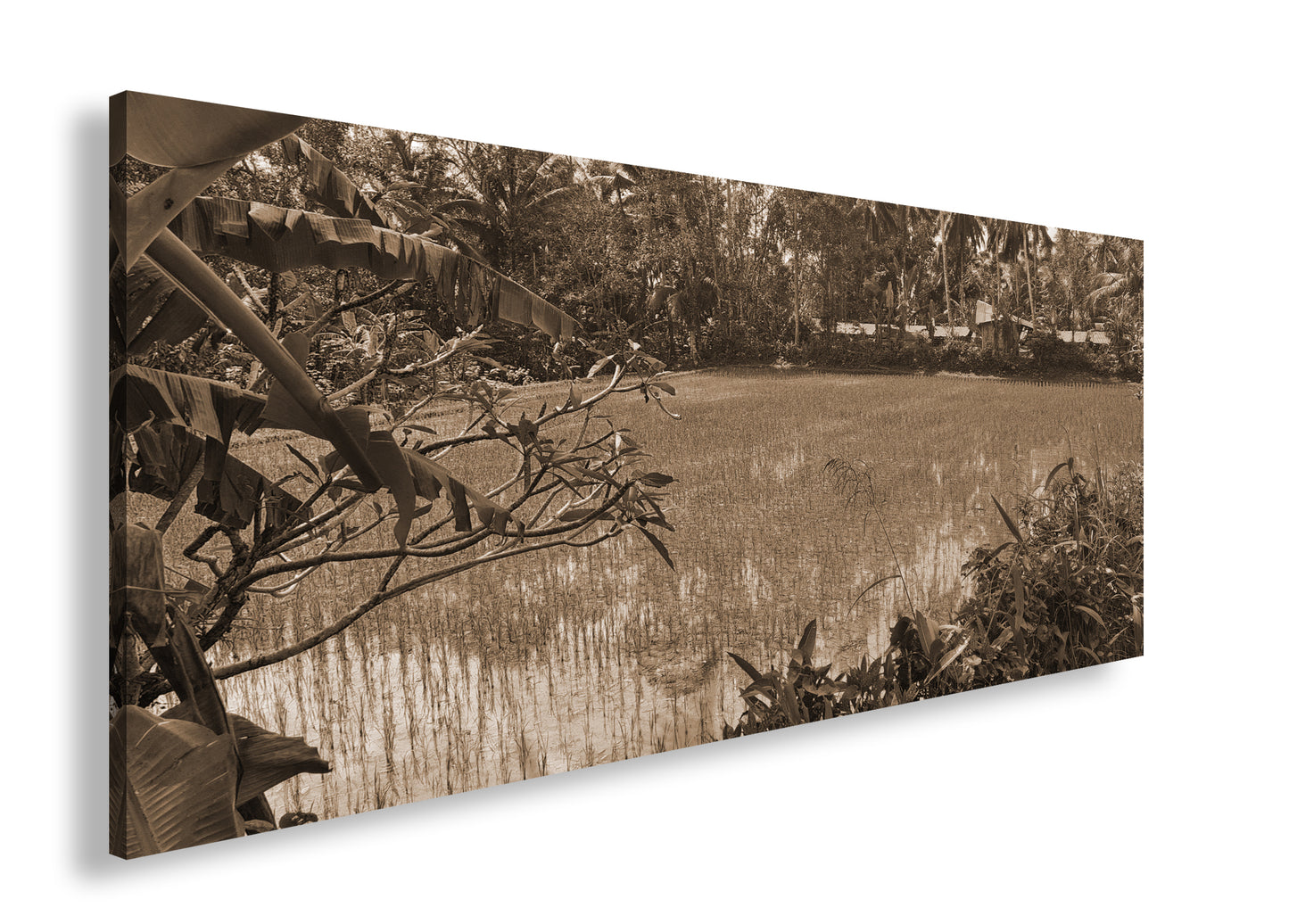 Hauptbild Sepia Panorama