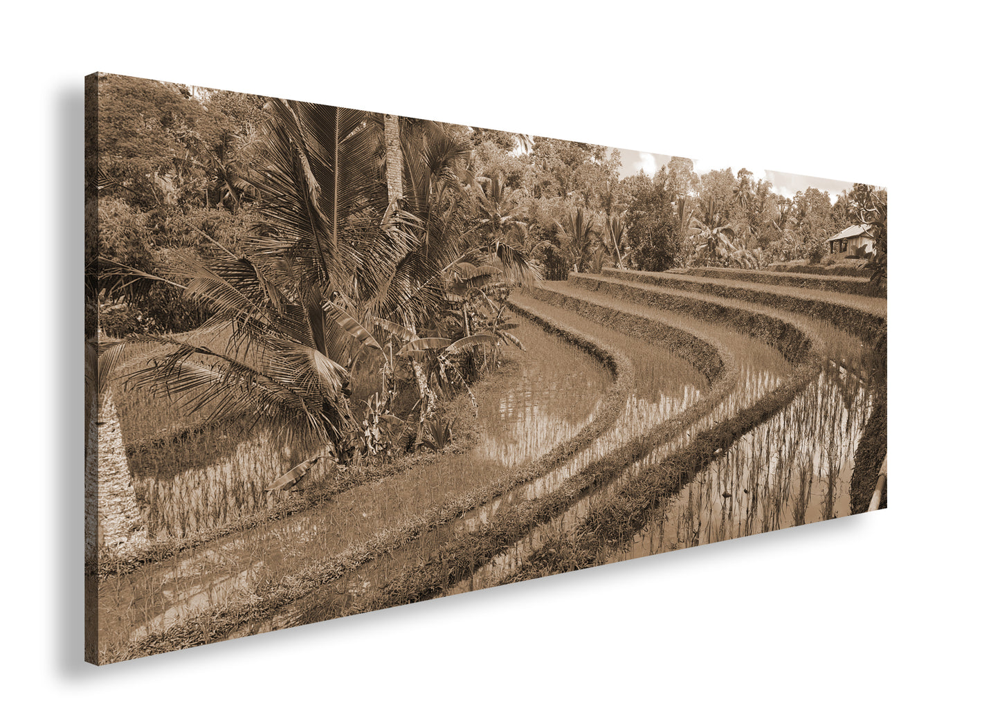 Hauptbild Sepia Panorama