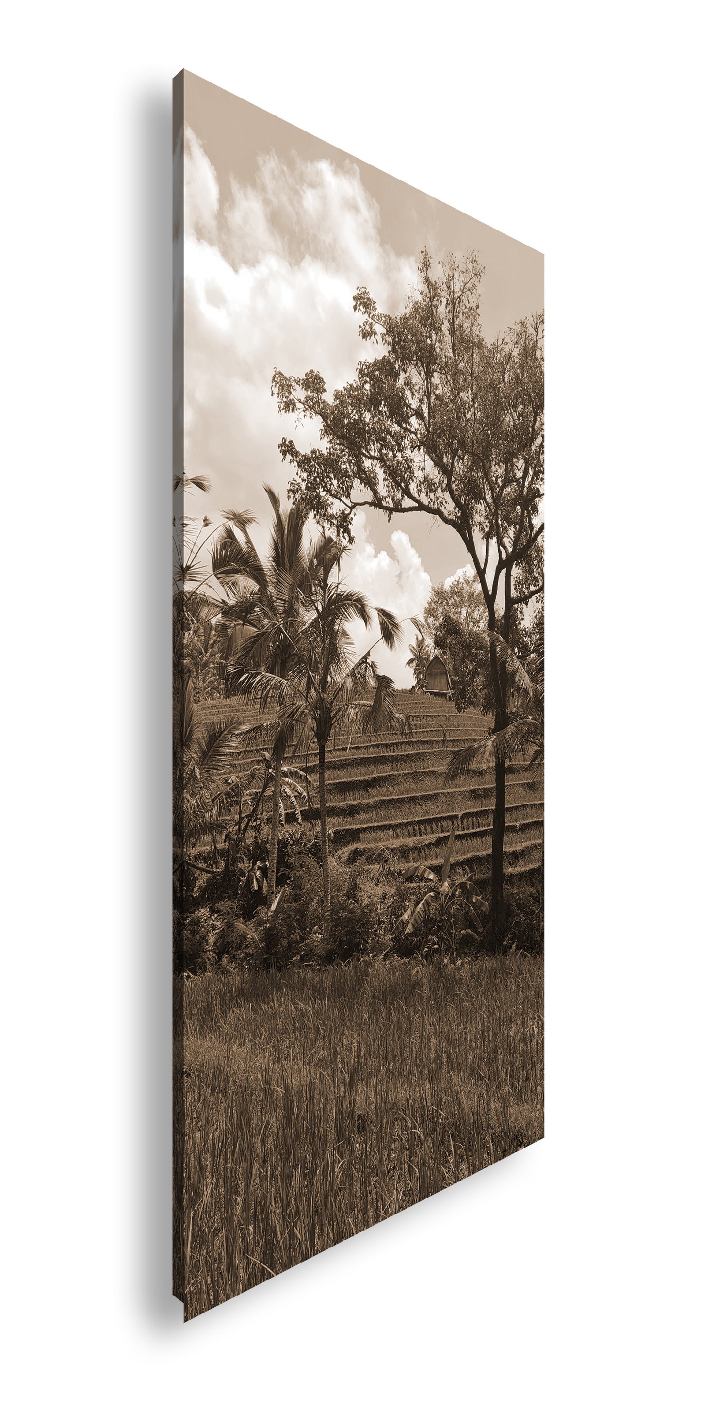 Hauptbild Sepia Panorama