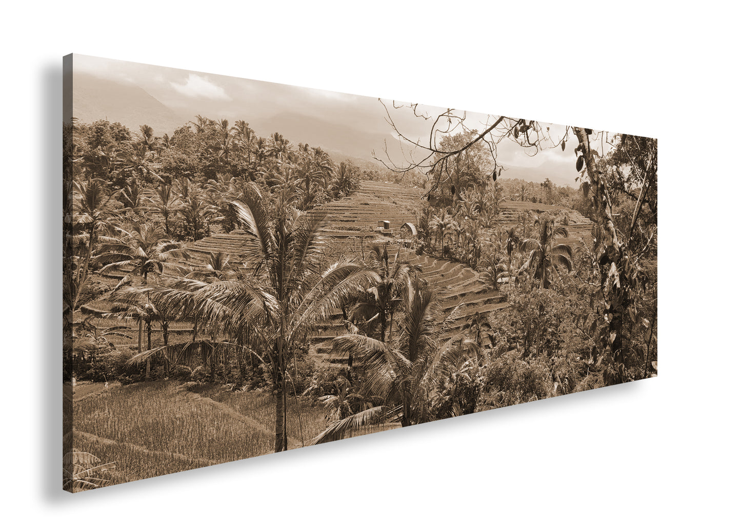 Hauptbild Sepia Panorama