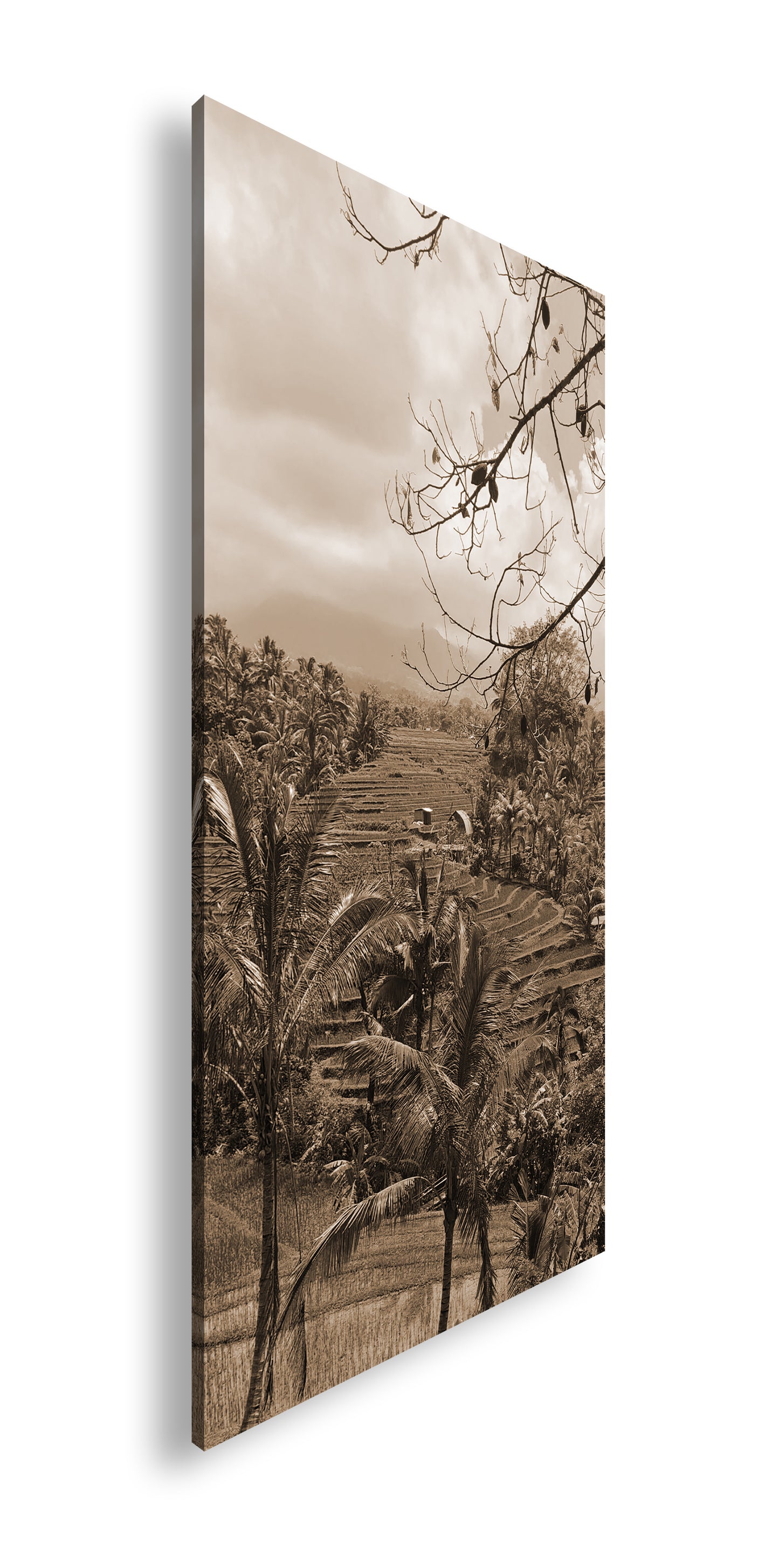 Hauptbild Sepia Panorama