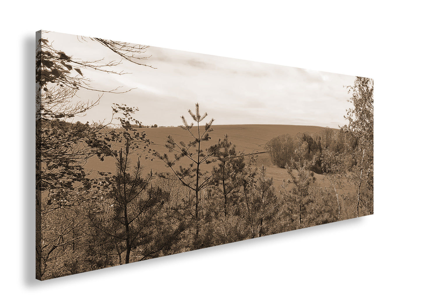Hauptbild Sepia Panorama