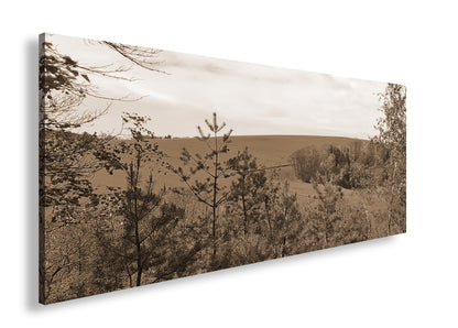 Hauptbild Sepia Panorama