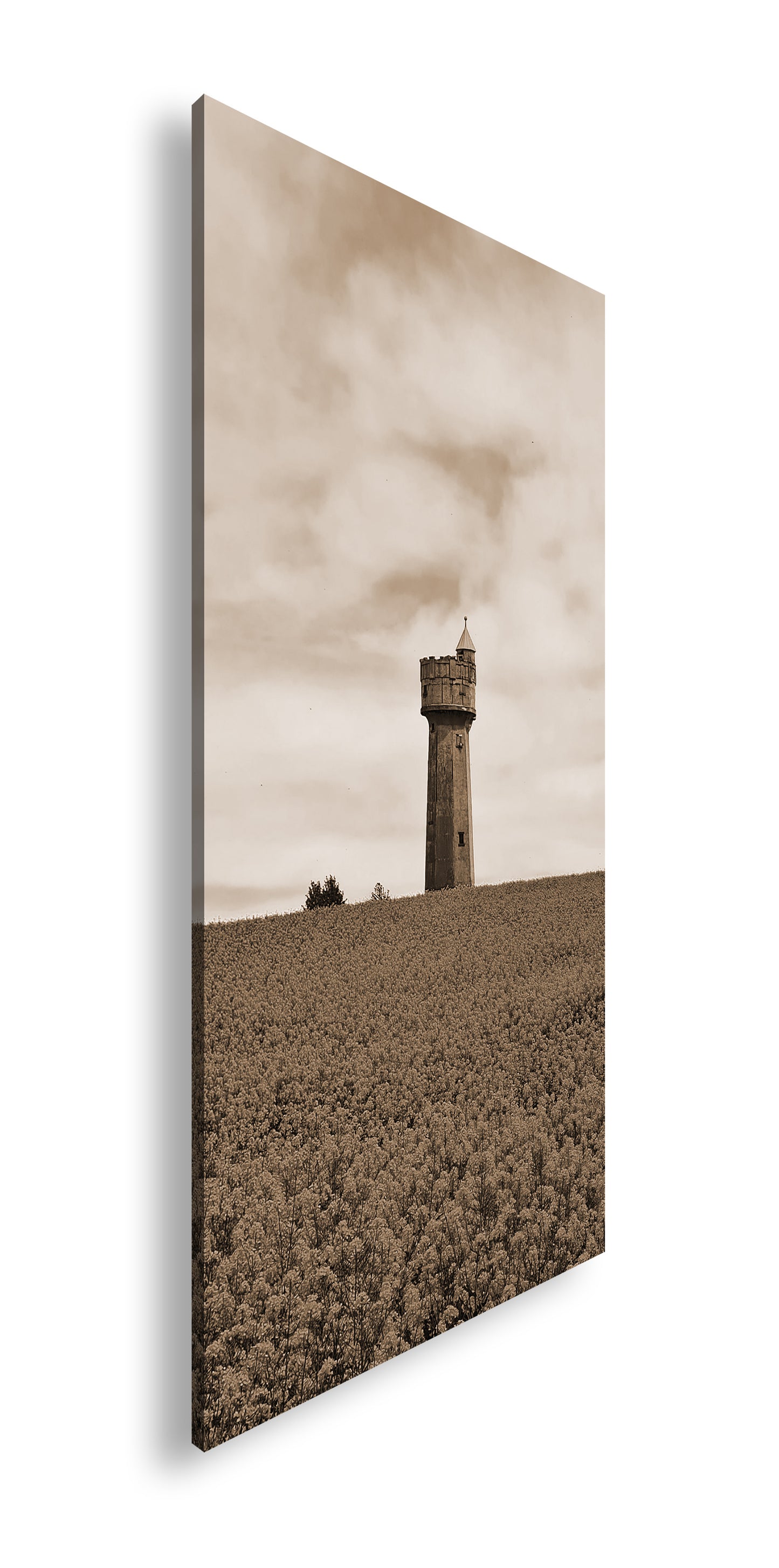 Hauptbild Sepia Panorama