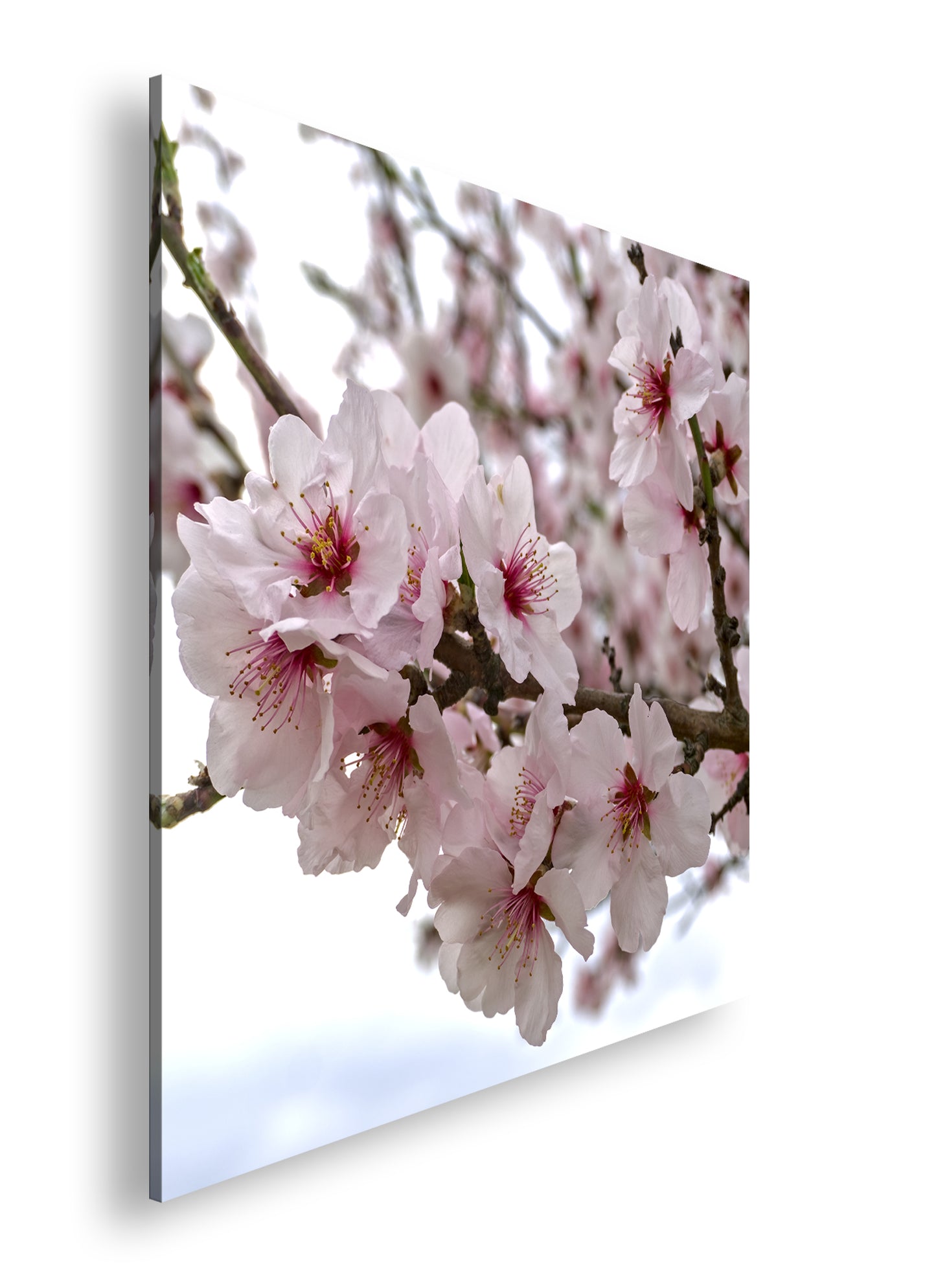 Hauptbild Farbig Quadratisch