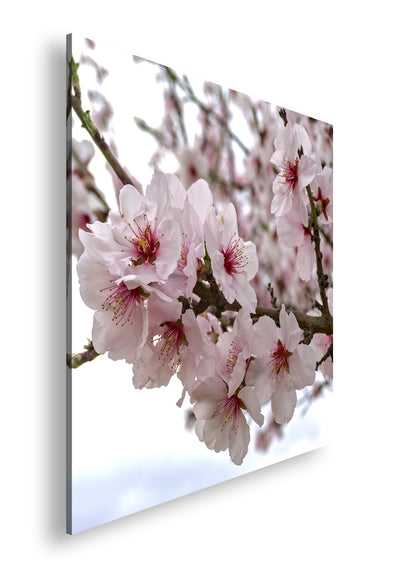 Hauptbild Farbig Quadratisch