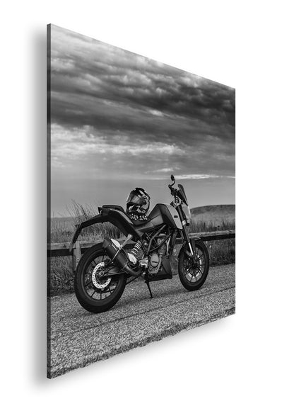 Hauptbild Farbig Quadratisch