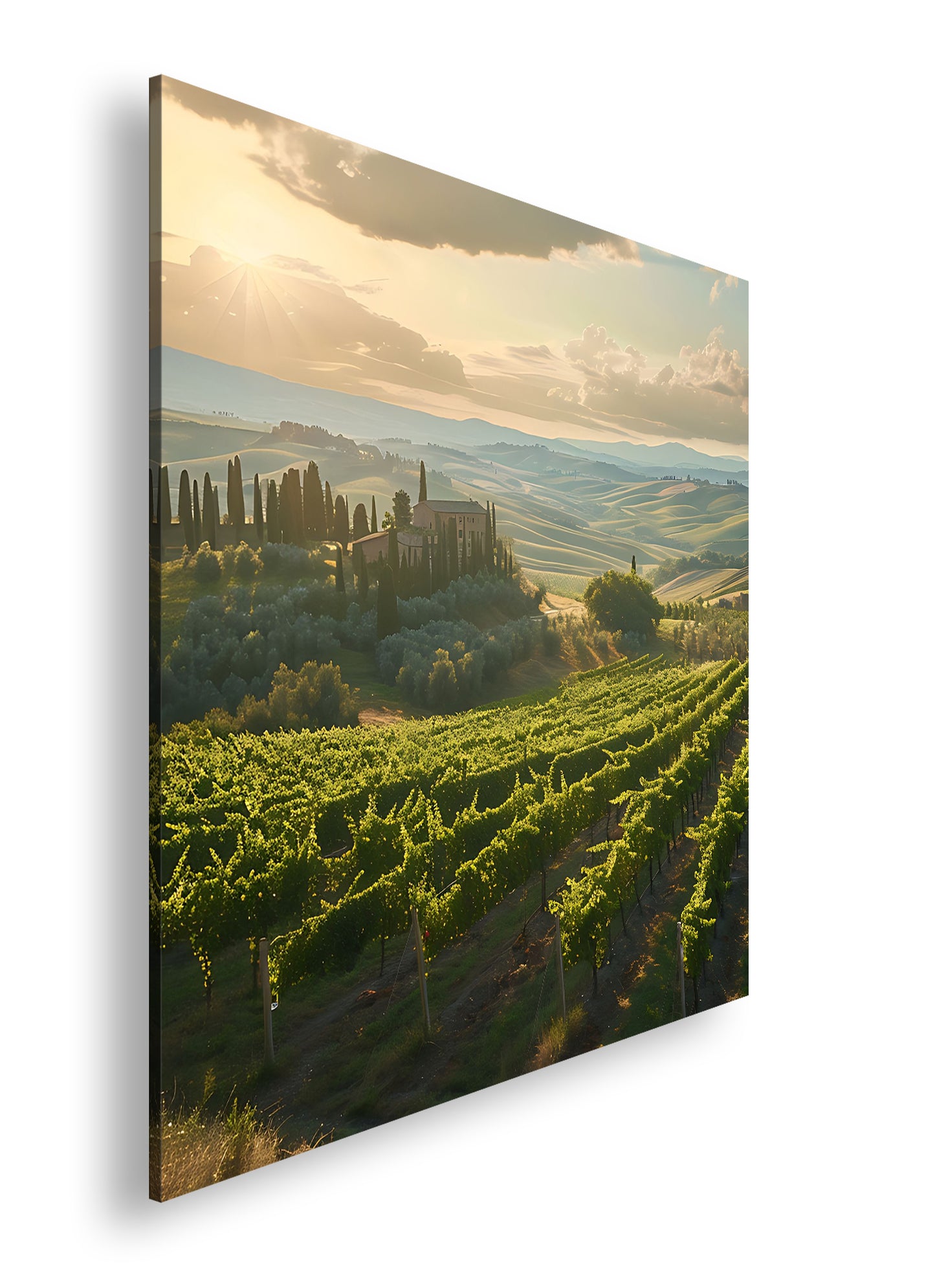 Hauptbild Farbig Quadratisch