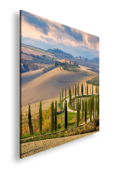 Hauptbild Farbig Quadratisch