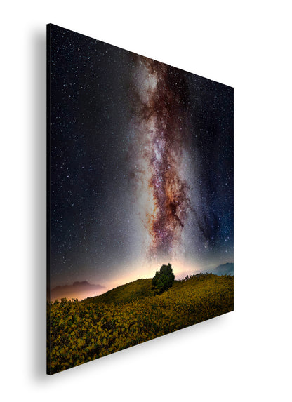 Hauptbild Farbig Quadratisch