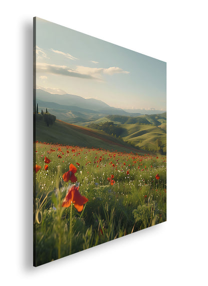 Hauptbild Farbig Quadratisch